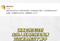 娱乐圈的那个吃瓜文件,真相与谣言的交织